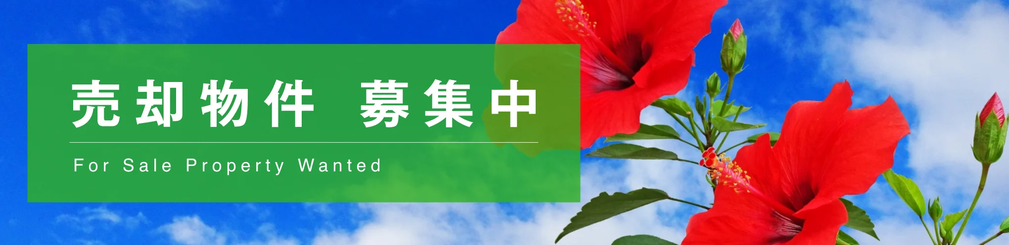 売却物件募集中